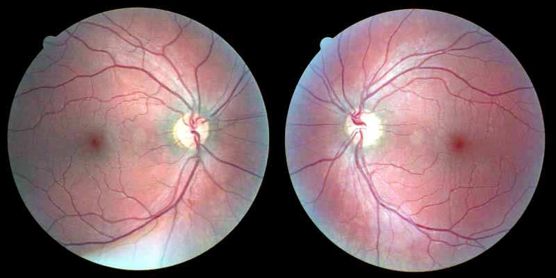   Ever wondered what the Doctor sees
when he looks in your eyes with that light.